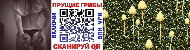 Псилоцибиновые грибы Magic Shrooms  Белоозёрский 