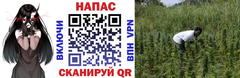 маркетплейс какой сайт mega tor Белоозёрский Бошки марихуана SATIVA & INDICA